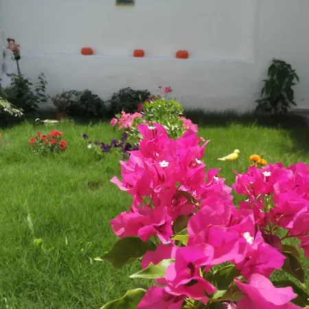 Lacivert Akyaka (Mugla)