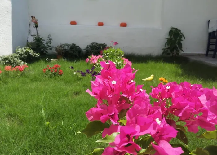 Lacivert Akyaka (Mugla)