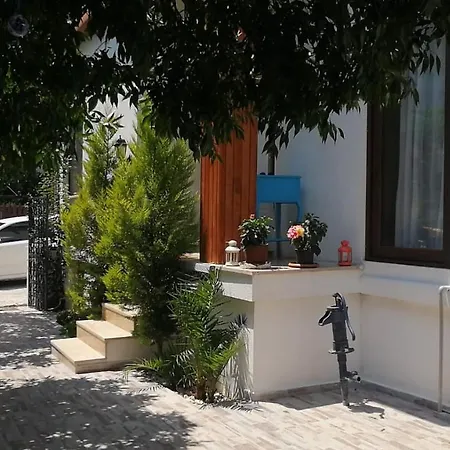 Lacivert ホテル *